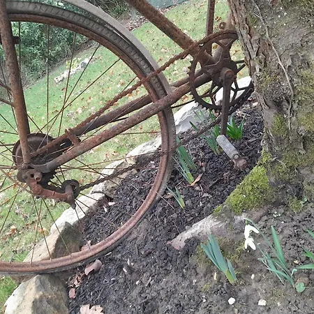 Maison Charmante A Avec Grand Jardin