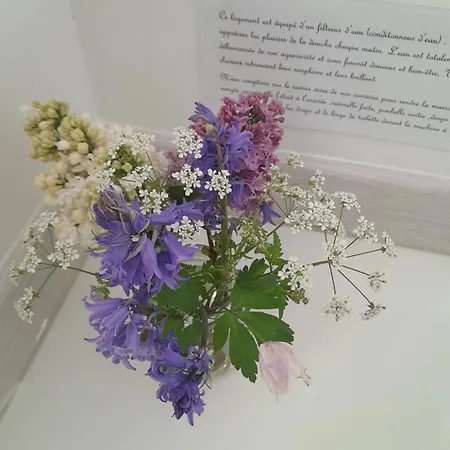 Maison Charmante à Avec Grand Jardin Hébergement de vacances *