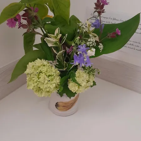 Hébergement de vacances Maison Charmante à Avec Grand Jardin