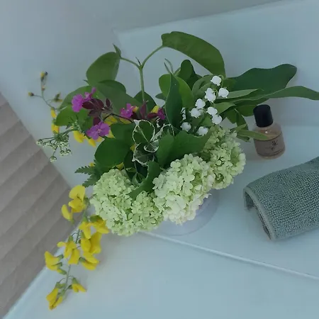 Maison Charmante A Avec Grand Jardin * Offranville