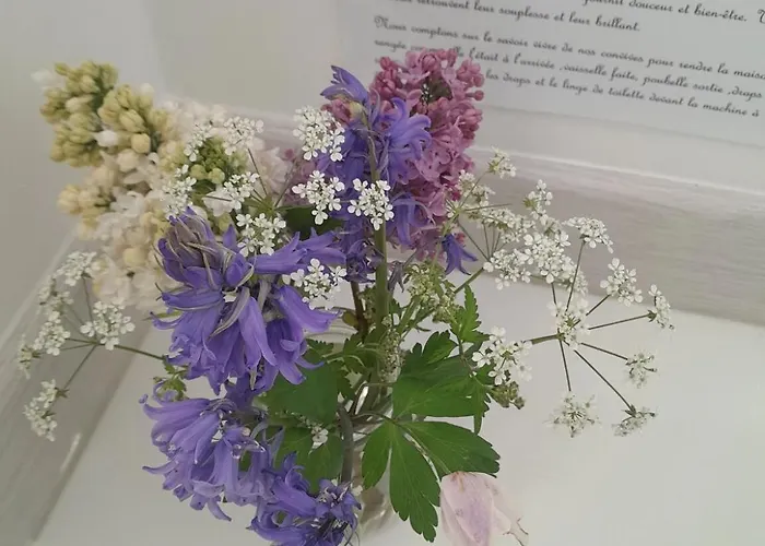 Maison Charmante A Avec Grand Jardin Holiday home *