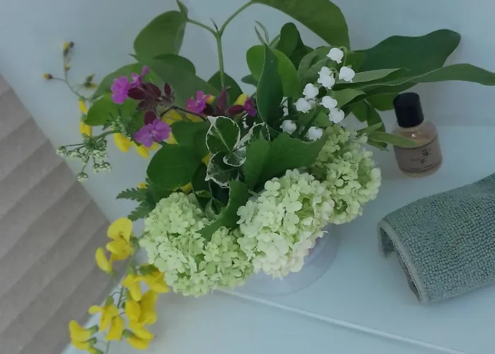 Maison Charmante A Avec Grand Jardin * Offranville