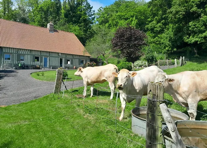 Maison Charmante A Avec Grand Jardin *